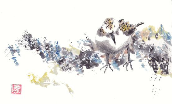 original watercolor of shorebird contemporary asian style